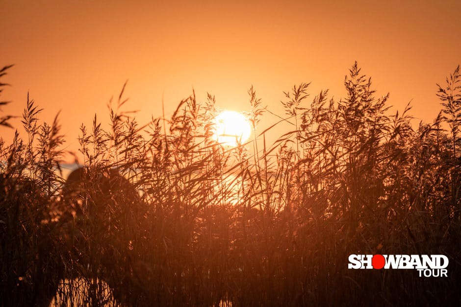 golden hour photography