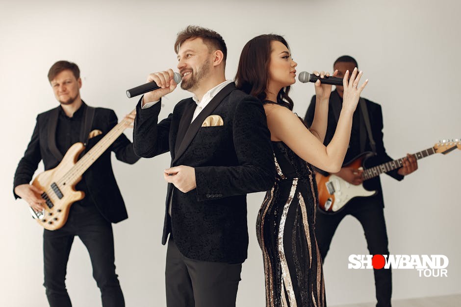 professional musicians performance